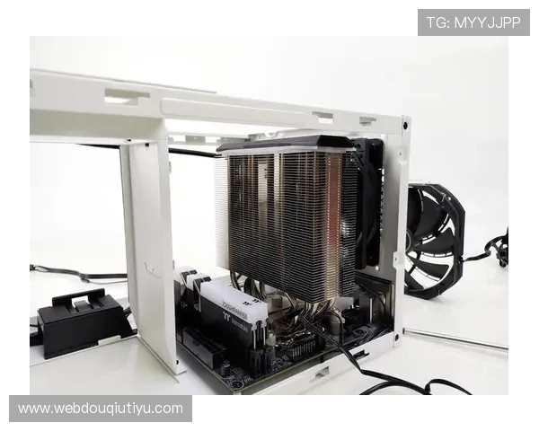 斗球直播tv版app支持哪些设备，兼容性分析与安装步骤详解